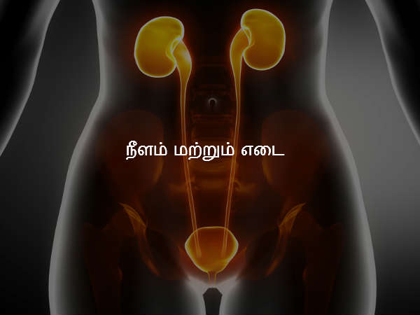 நீளம் மற்றும் எடை