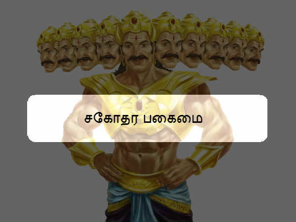 சகோதர பகைமை 