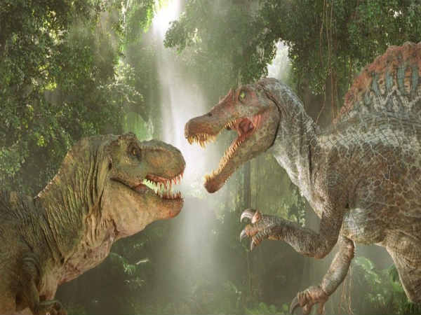 தாவரவுண்ணிகள், ஊனுண்ணிகள் 