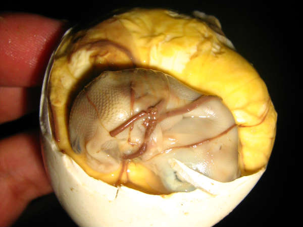 பால்ட் (Balut) - பிலிப்பைன்ஸ் பால்ட் (Balut) - பிலிப்பைன்ஸ்
