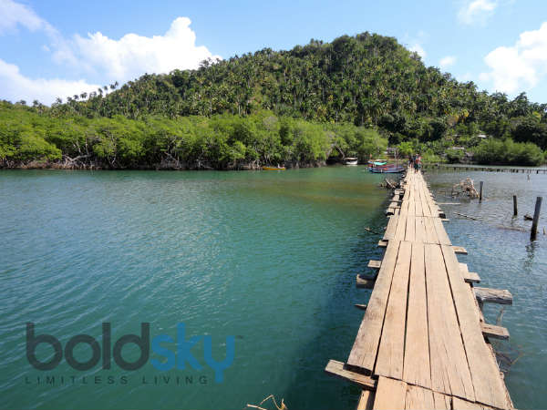 அலெஜாண்ட்ரோ டி ஹம்போல்ட் தேசிய பூங்கா, கியூபா