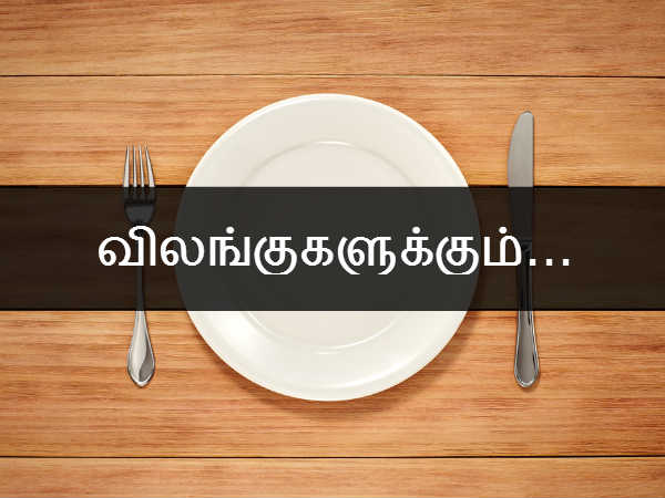 விலங்குகளுக்கும் பொருந்தும் 