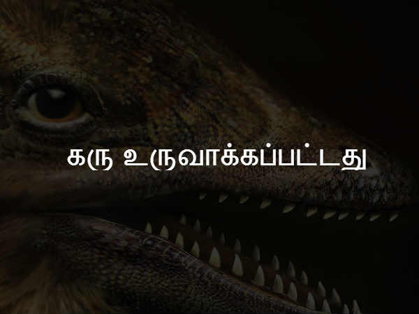கரு உருவாக்கப்பட்டது 