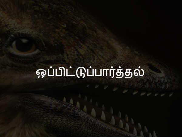  ஒப்பிட்டுப்பார்த்தல் 