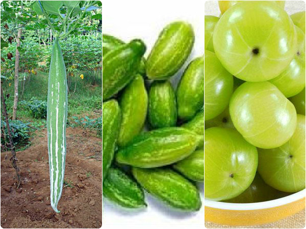 புடலங்காய், கோவைக்காய் மற்றும் நெல்லிக்காய்