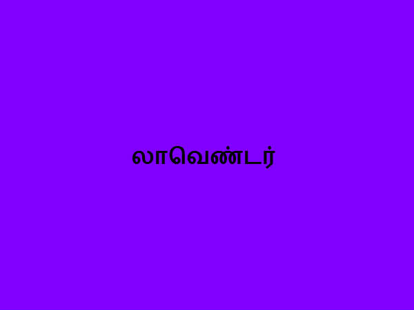 லாவெண்டர்
