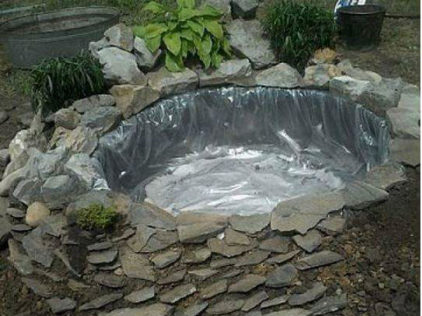 செடிகள் 