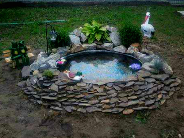 அழகான குளம் உங்கள் வீட்டில்!!