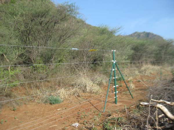 எலக்ட்ரிக் தீக்காயங்கள் 