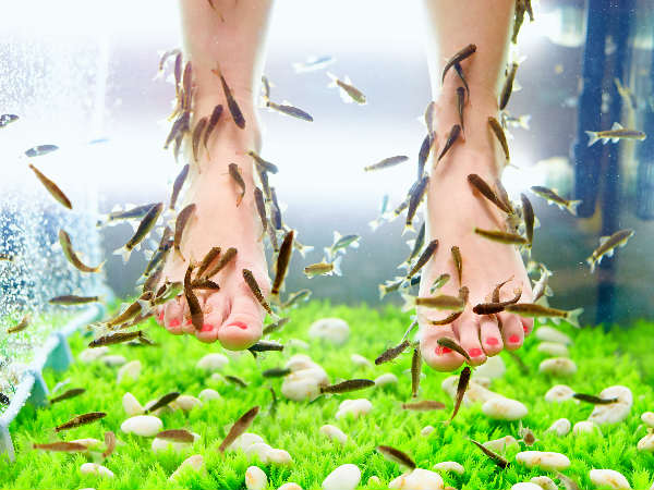 மீன் பெடிக்யூர்