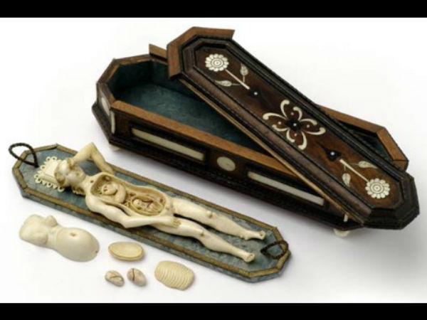 பிரசவ பெண்மணியின் மாதிரி