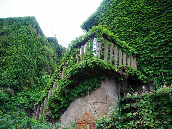 பேய் நகரம் - சோலைவனம்