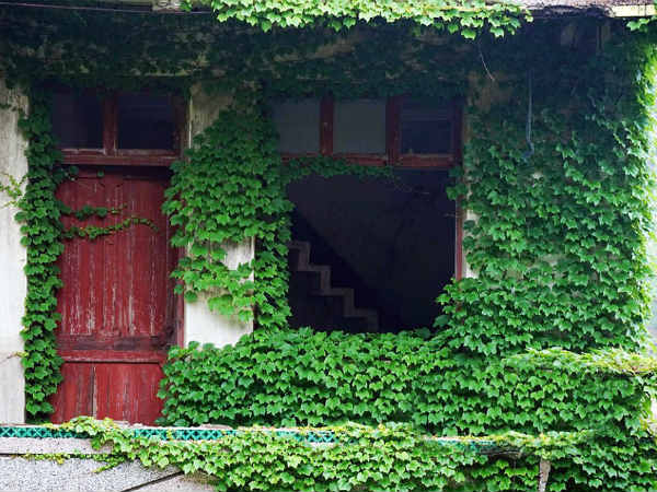 புகைப்படம் எடுப்பதற்கு ஏற்ற இடம்