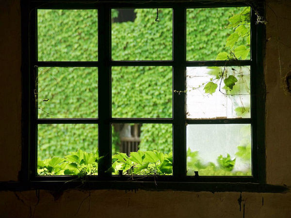 இயற்கையின் ஓவியம்