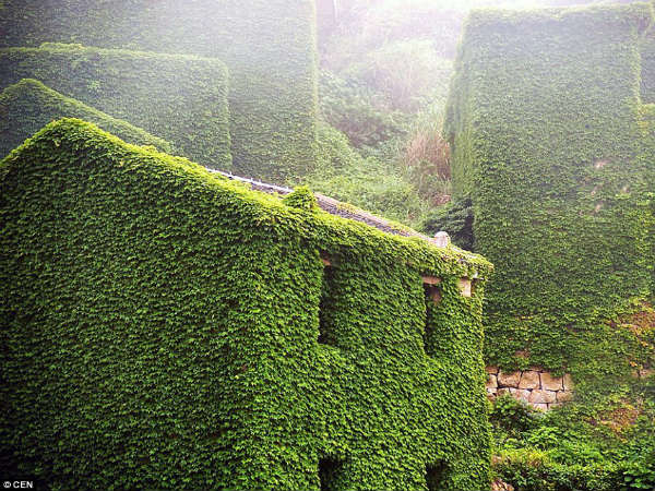 வீடுகளின் வெளிப்புற தோற்றம்