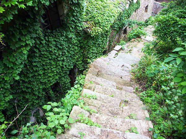 சொர்க்க வாசல் இப்படி தான் இருக்குமோ..