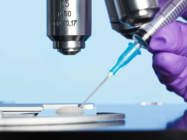 கறுவுறுதலுக்கு வழி செய்யும்