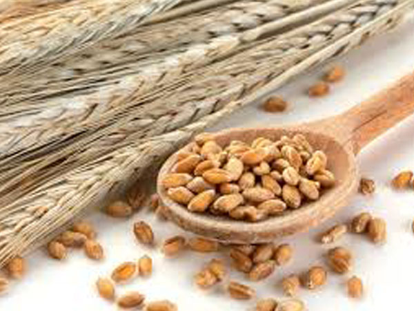 அதிகப்படியான நார்ச்சத்து