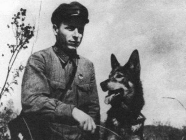 தற்கொலை தாக்குதல் நாய்கள்