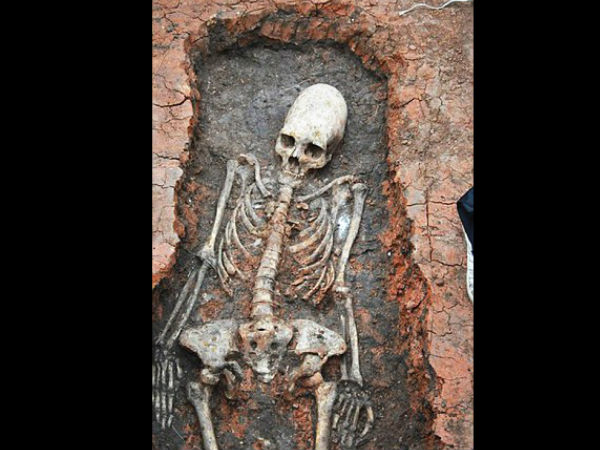 இந்த மண்டை ஓடு ஓர் பெண்ணுடையது 