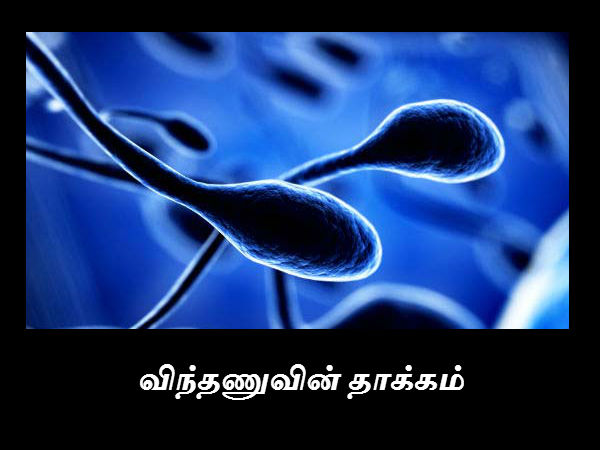 விந்தணுவின் தாக்கம் 