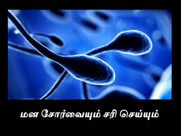 மன சோர்வையும் சரி செய்யும் 