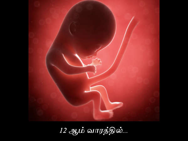 12 ஆம் வாரத்தில்...