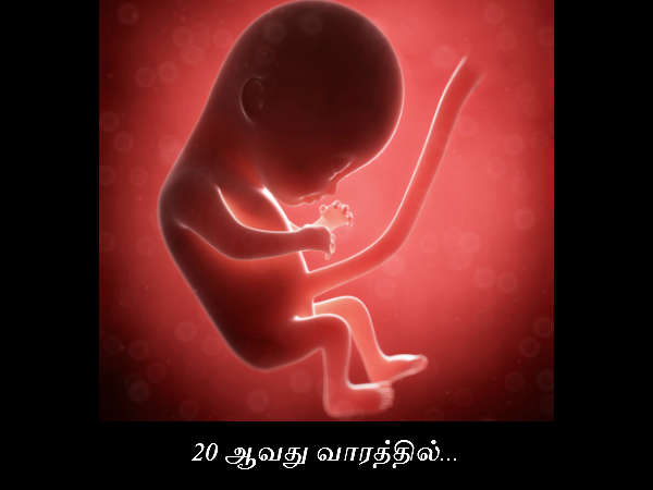 20 ஆவது வாரத்தில்...