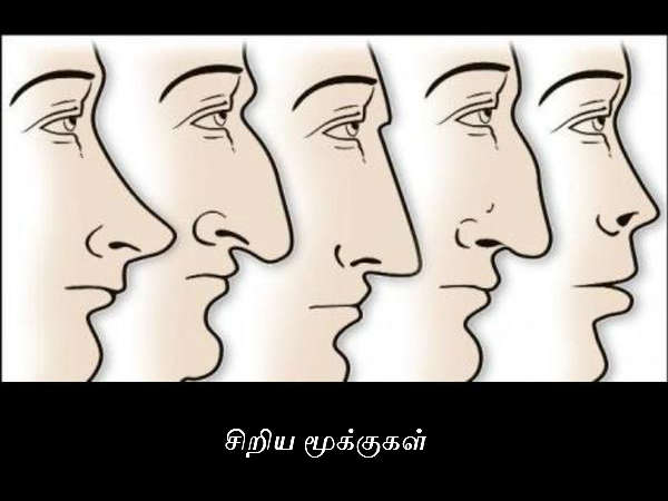 சிறிய மூக்குகள்