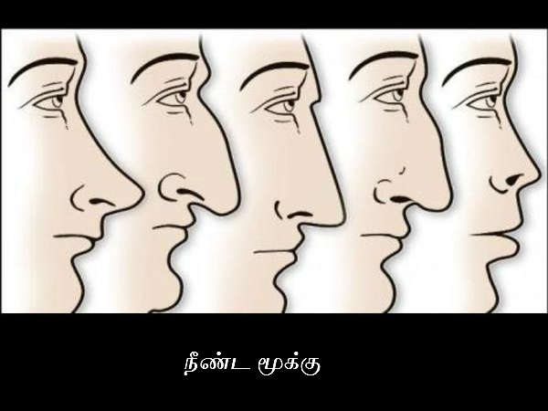 நீண்ட மூக்கு