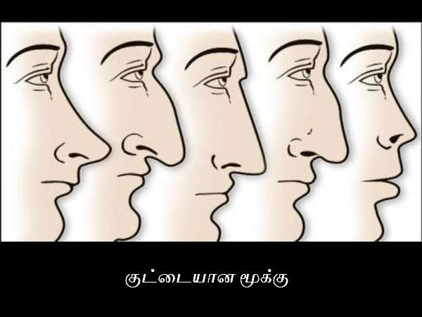 குட்டையான மூக்கு