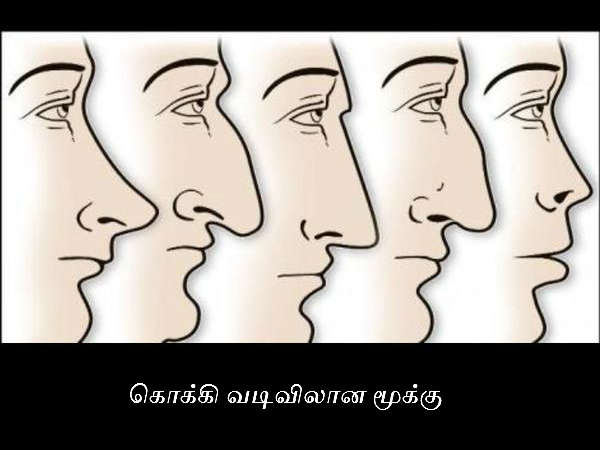 கொக்கி வடிவிலான மூக்கு