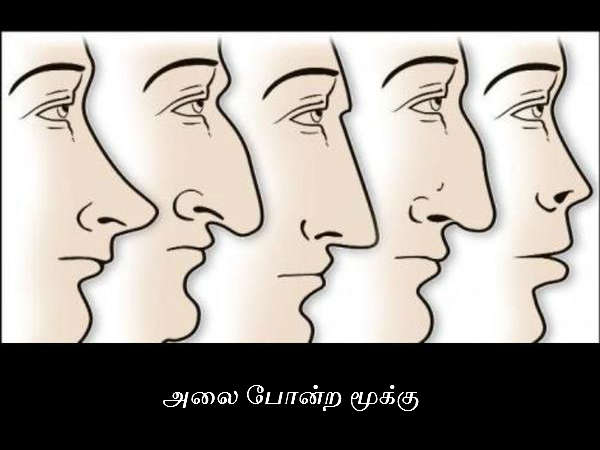 அலை போன்ற மூக்கு