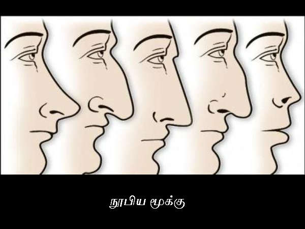 நூபிய மூக்கு