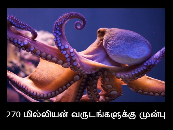 270 மில்லியன் வருடங்களுக்கு முன்பு 