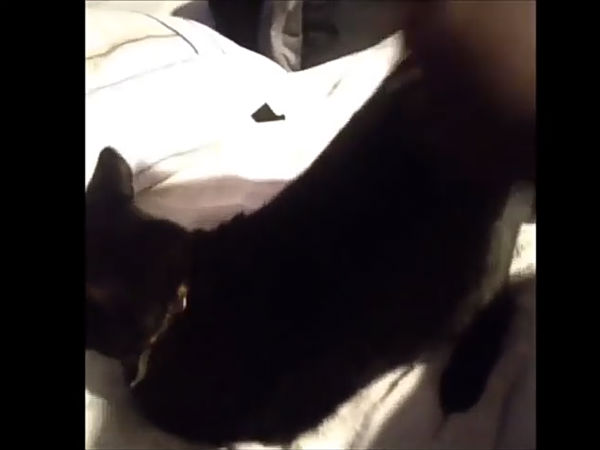 கேலியும், கிண்டலும் 