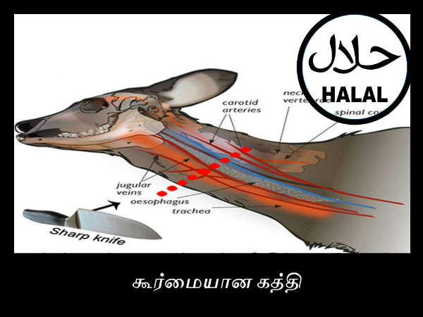 கூர்மையான கத்தி