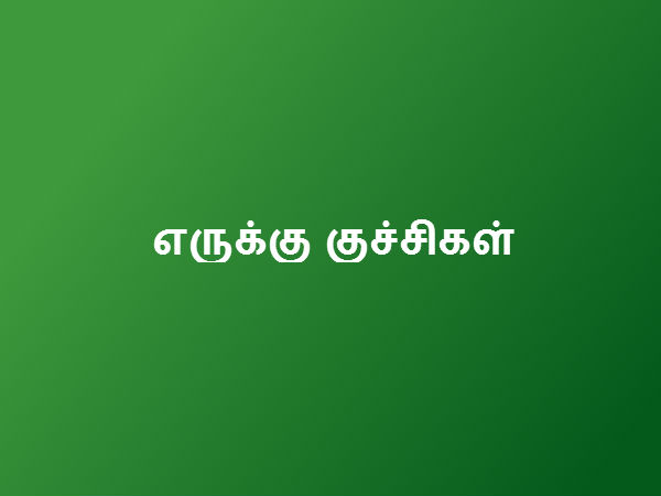பல் வலிக்கு தீர்வு 