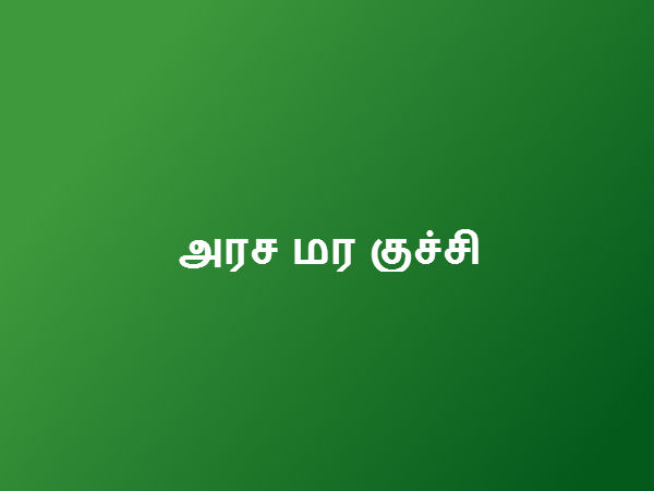 பல் கூச்சம் குறைய 
