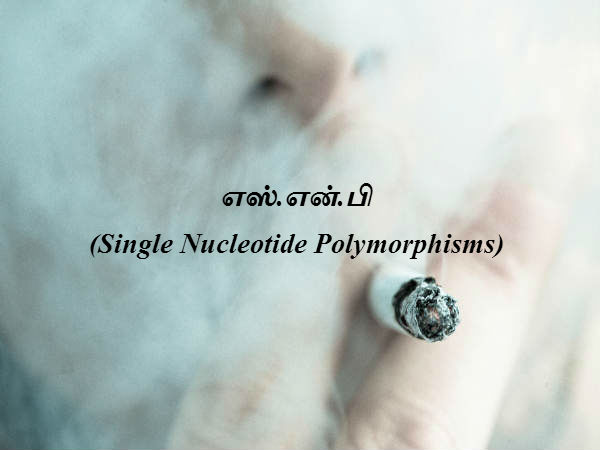 எஸ்.என்.பி (Single Nucleotide Polymorphisms) 