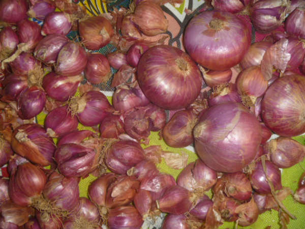 சின்ன வெங்காயம் 