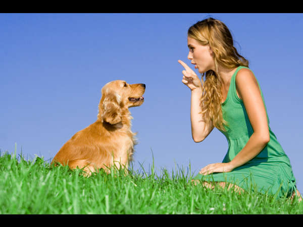 உடல்நல ஊக்குவிப்பாளன்