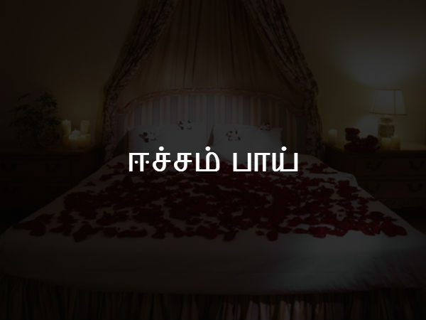 ஈச்சம் பாய் 