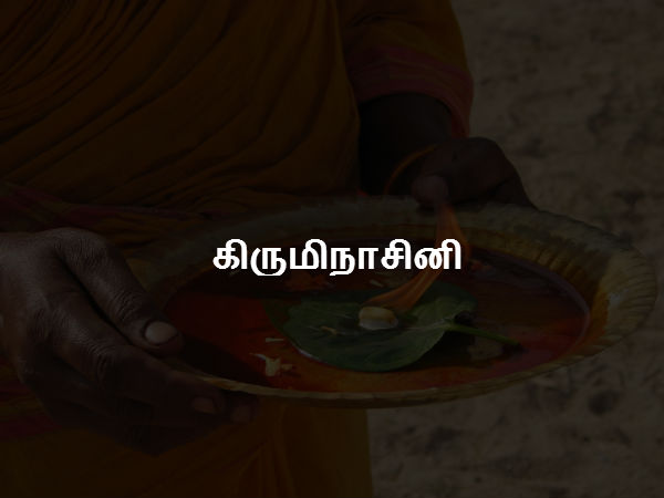 கிருமிநாசினி 