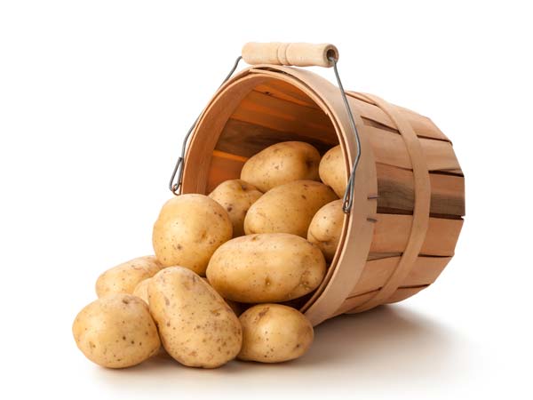 உருளைக்கிழங்கு 