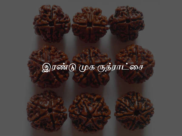 இரண்டு முக ருத்ராட்சை