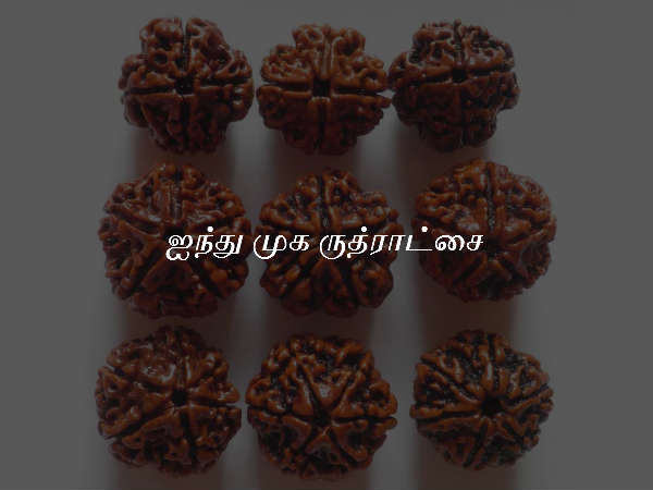 ஐந்து முக ருத்ராட்சை