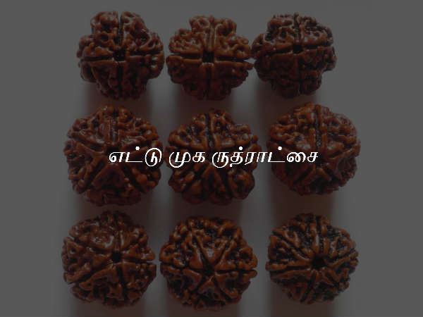 எட்டு முக ருத்ராட்சை