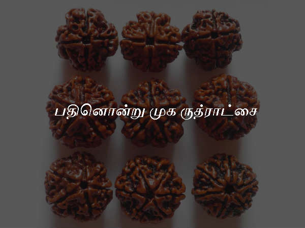 பதினொன்று முக ருத்ராட்சை