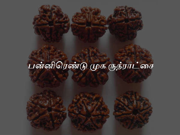 பன்னிரெண்டு முக ருத்ராட்சை